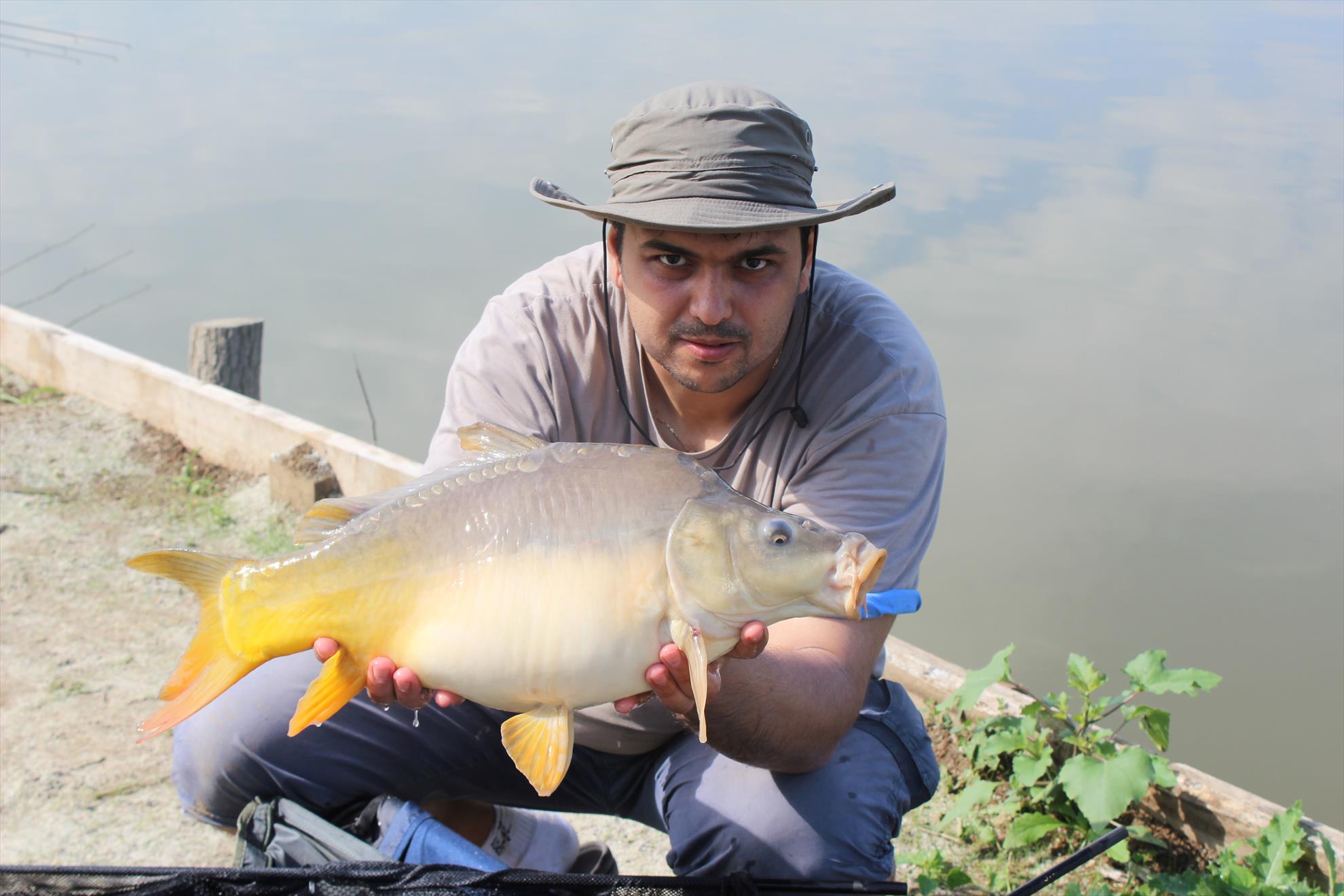 Hermes Peris 7 - 8 iunie 2014 - img7454.JPG